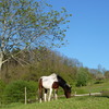 P1020348