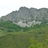 Campocat1