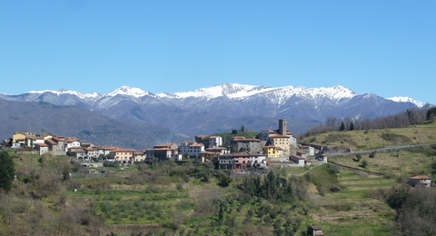 P1030472