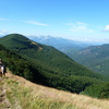 P1030993