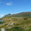 P1040014
