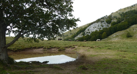 P1030061