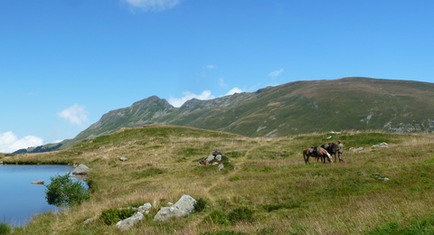 P1040014